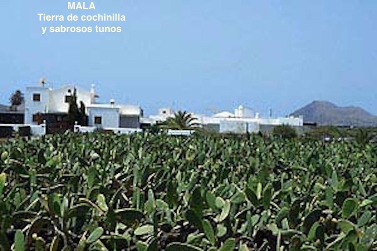 Casa "Gara" Mala-Lanzarote Norte Exteriér fotografie